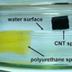 Illustration for article titled The Sponge That Can Absorb 180 Times Its Own Weight (In Toxic Sludge)